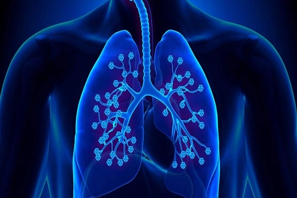 TA1 Peptide for Cystic Fibrosis Treatment and Lung Health